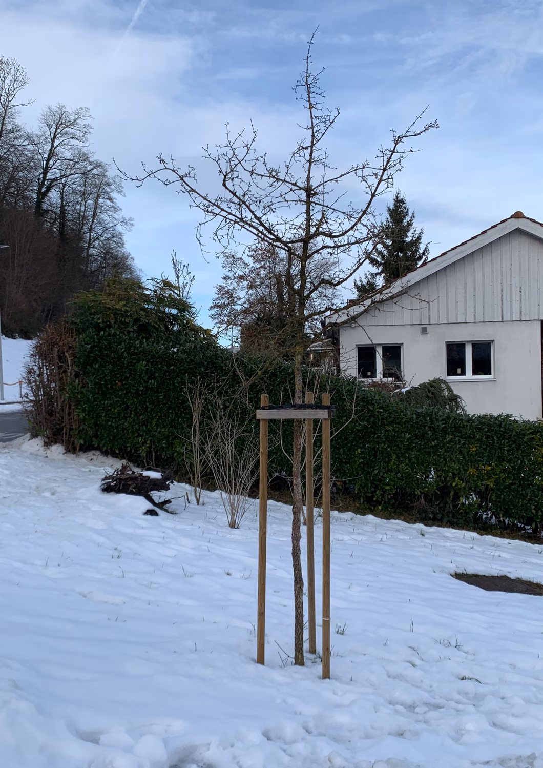 Bild 2 Rabatte Säumerstrasse Höhenweg_FINAL