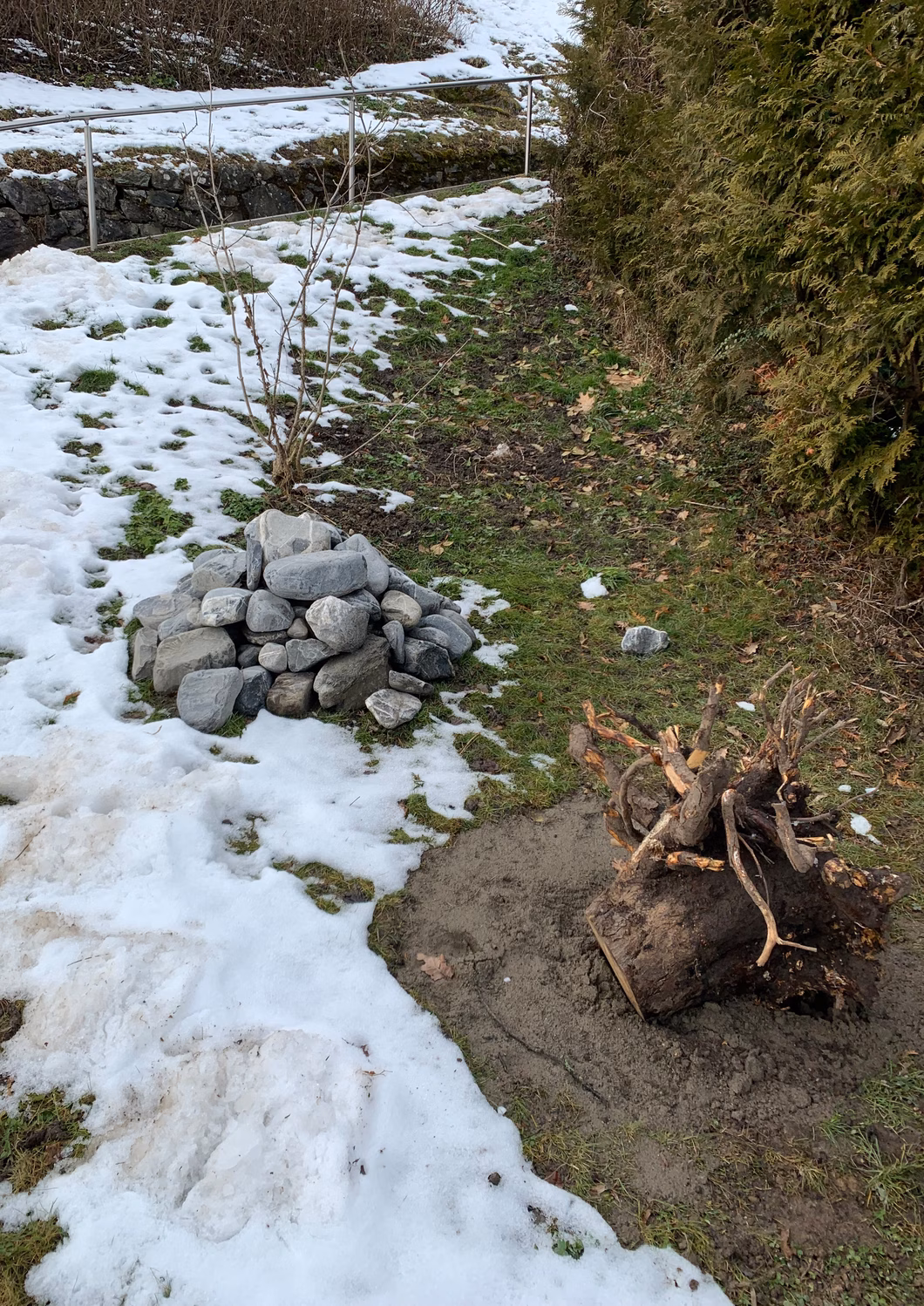 Bild 4 Foto Wurzelstock mit Sandlinse und Steinhaufen (Etzlibergweg)_FINAL (1)