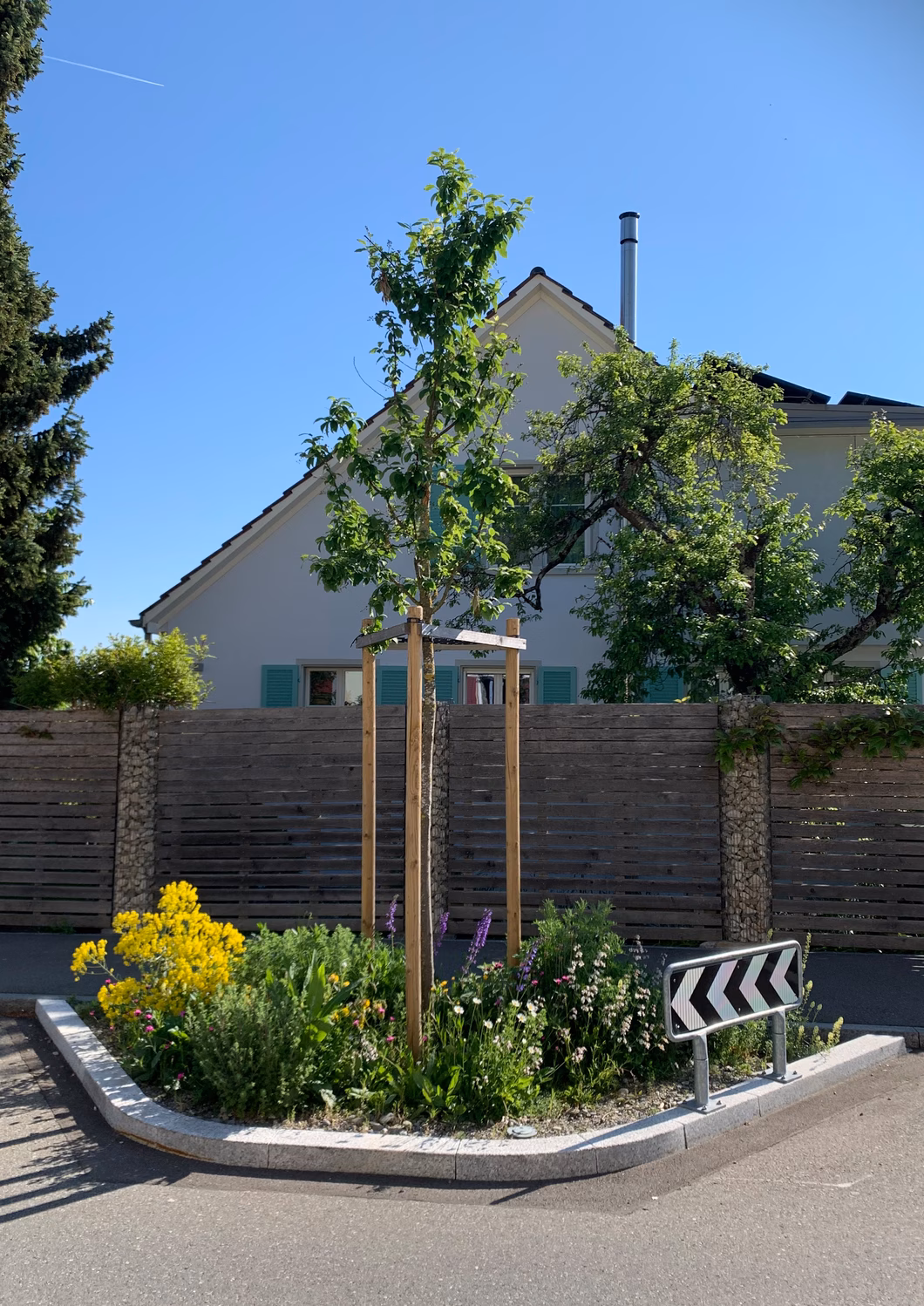 Bild 6 Rabatte Berghaldenstrasse_FINAL